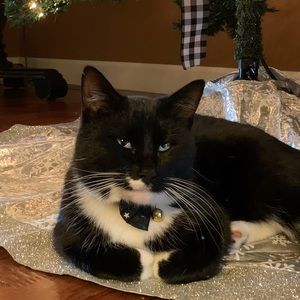 Meet your Posher, Melissa